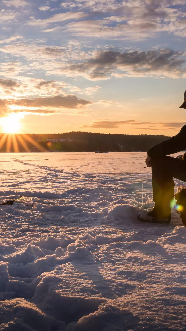 Raymarine Element Ice Fishing Kit