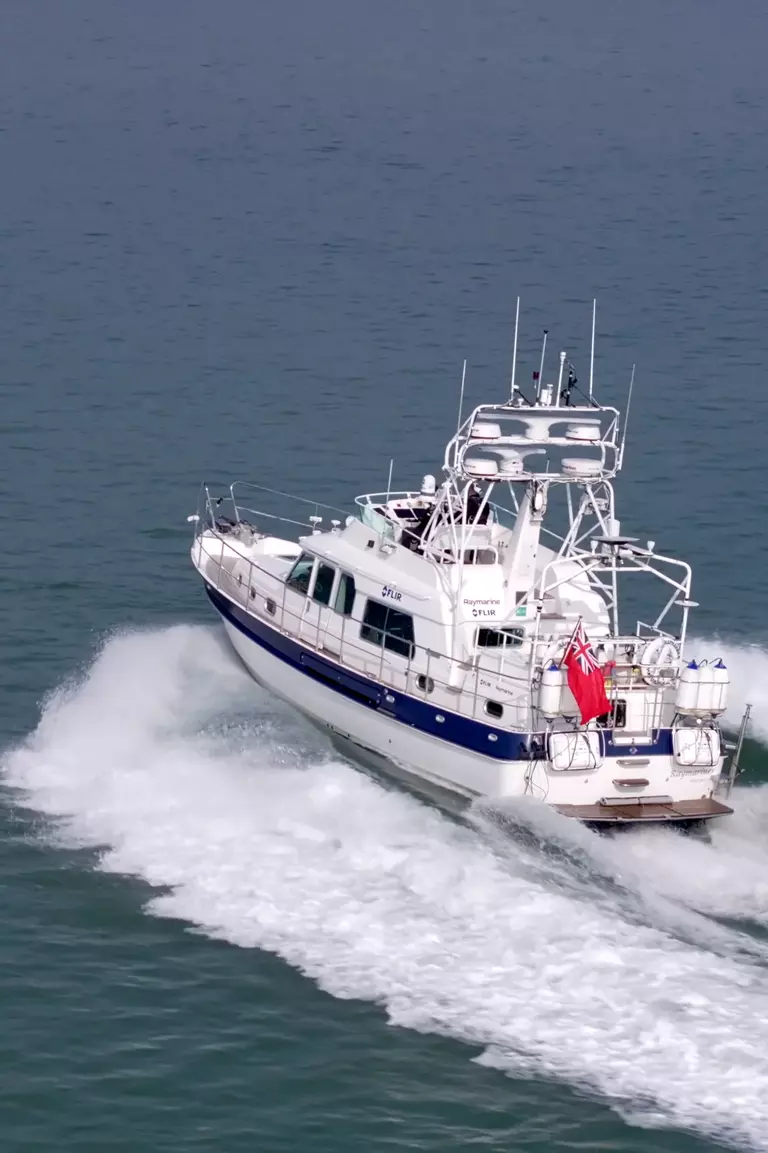 Raymariner: Ensuring Excellence Through Real-World Testing