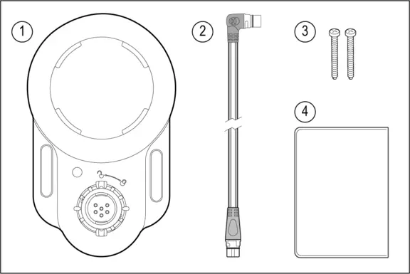 What's in the box illustration