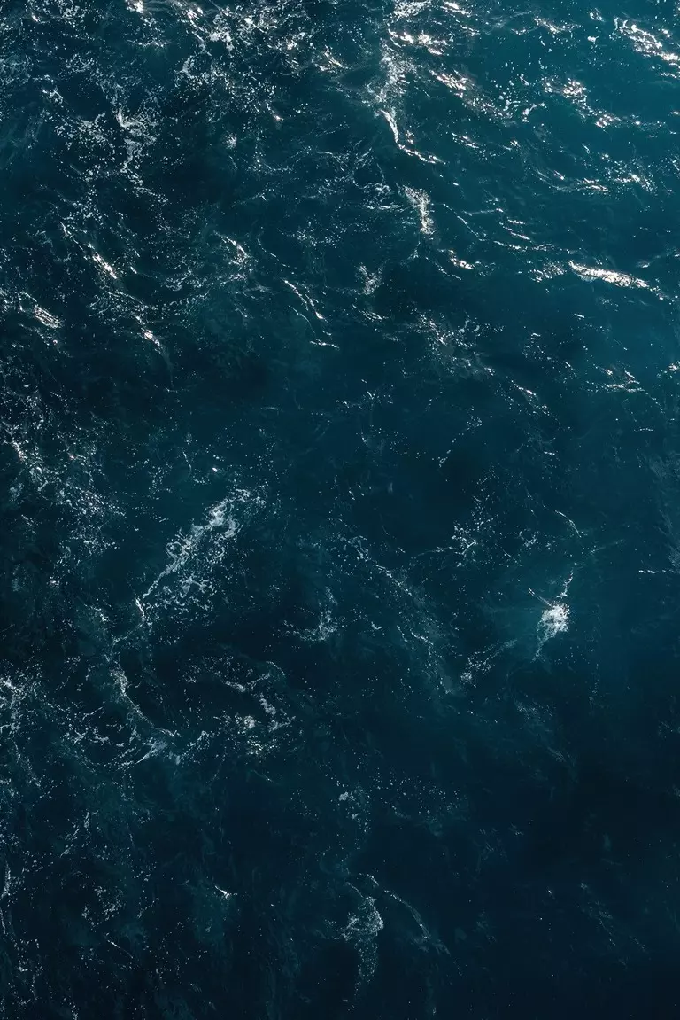 Customer Portal Tutorial