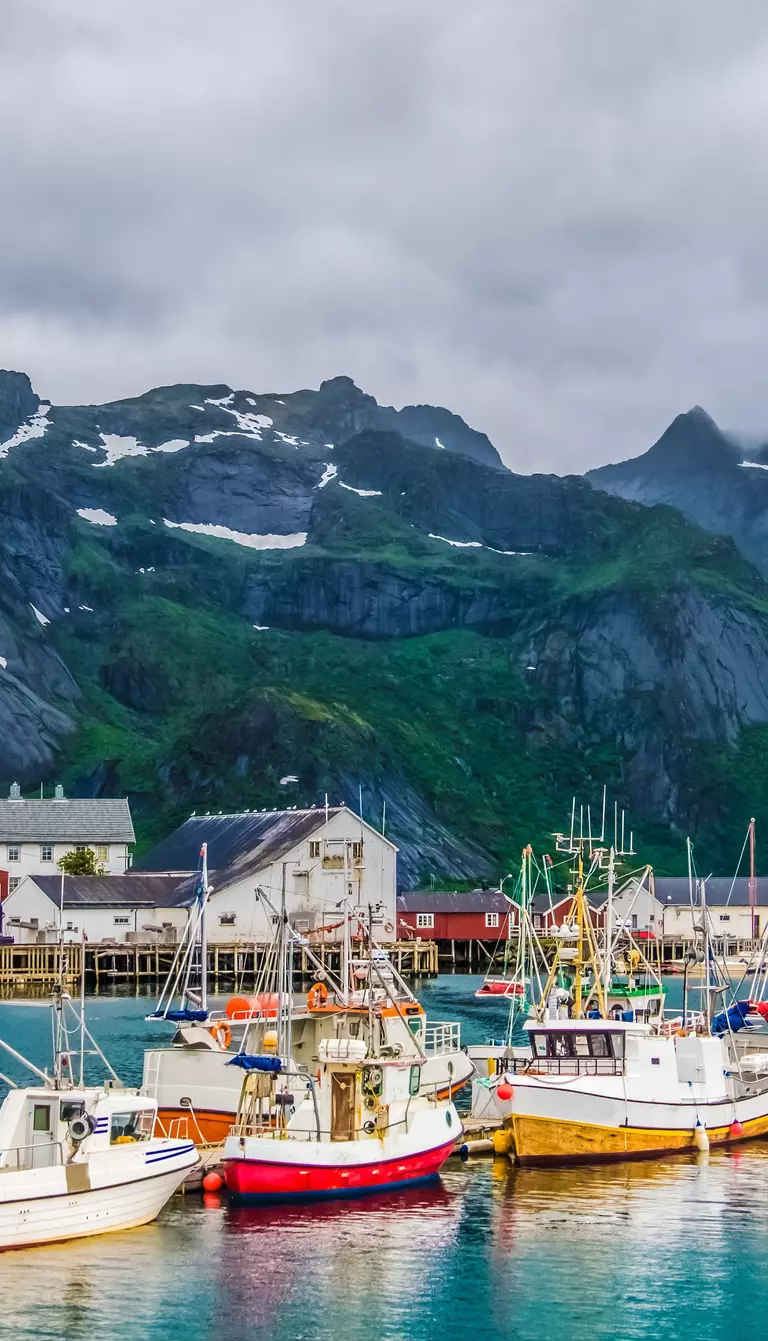 LofotFishing - Lofoten