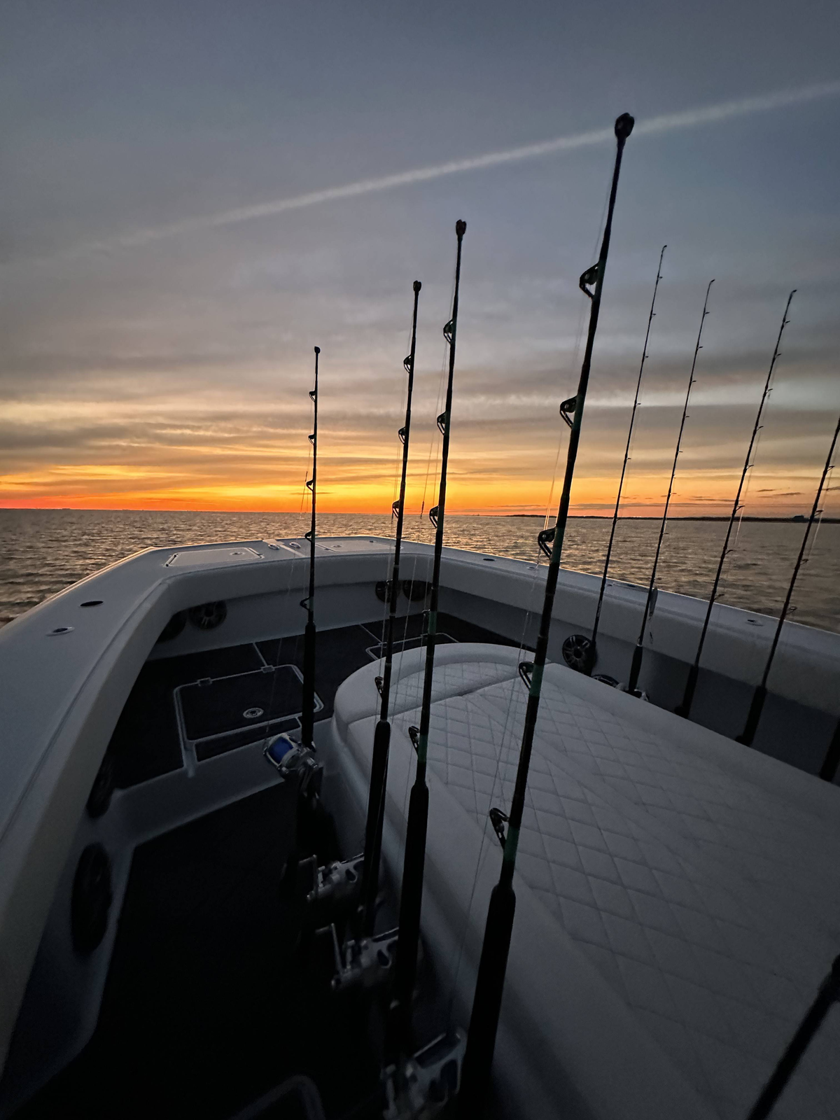 Icast Fishing 2024 Ford Patti Berenice