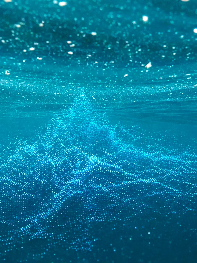 Comment acheter Teledyne CARIS Software Direct