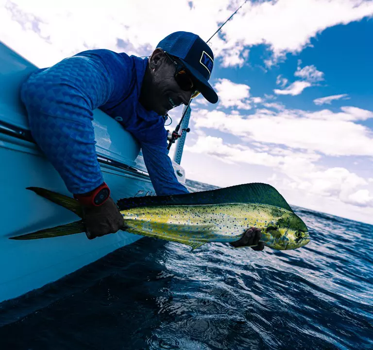 Módulos de sonda y detección de peces