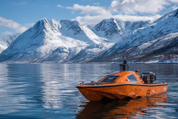 Autonomous Vessels