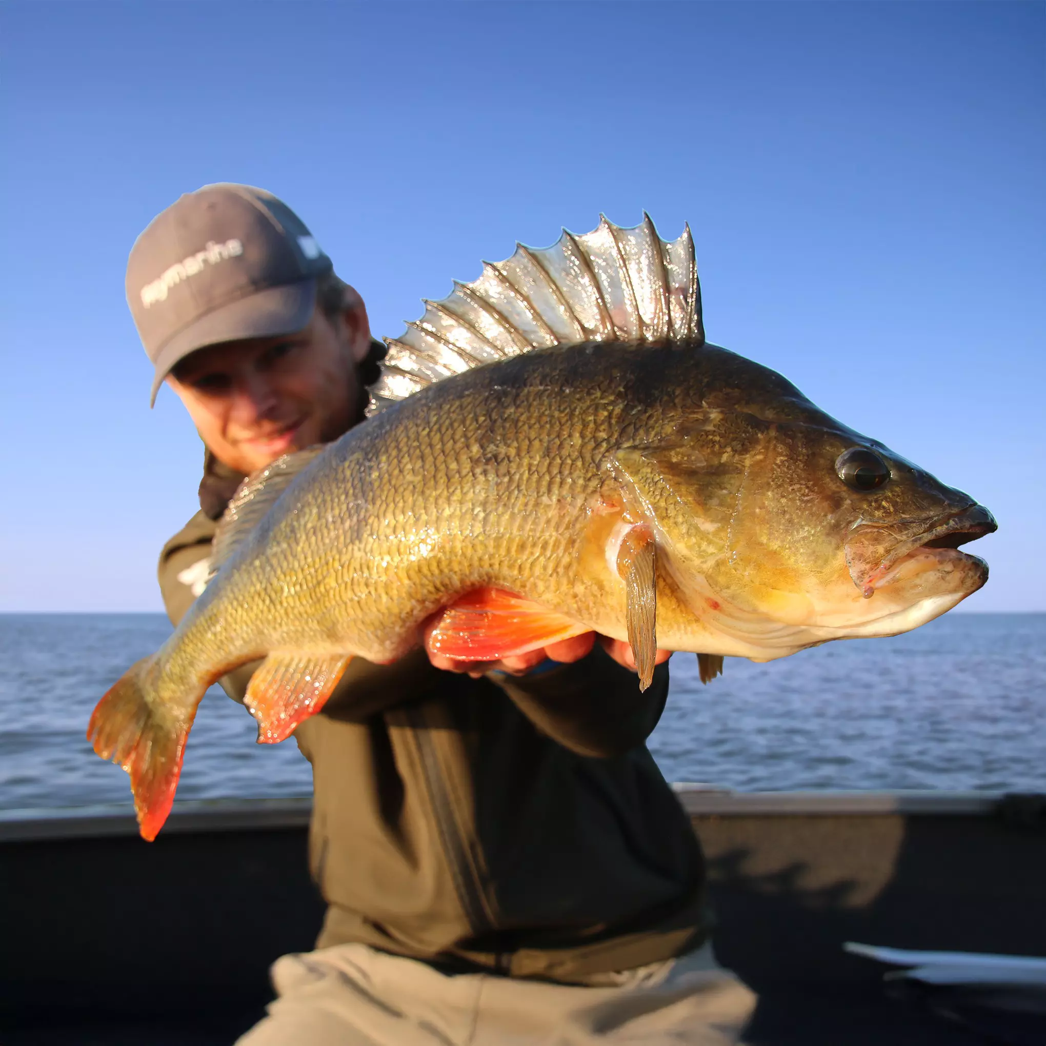 Volkmar Strikkers, big perch