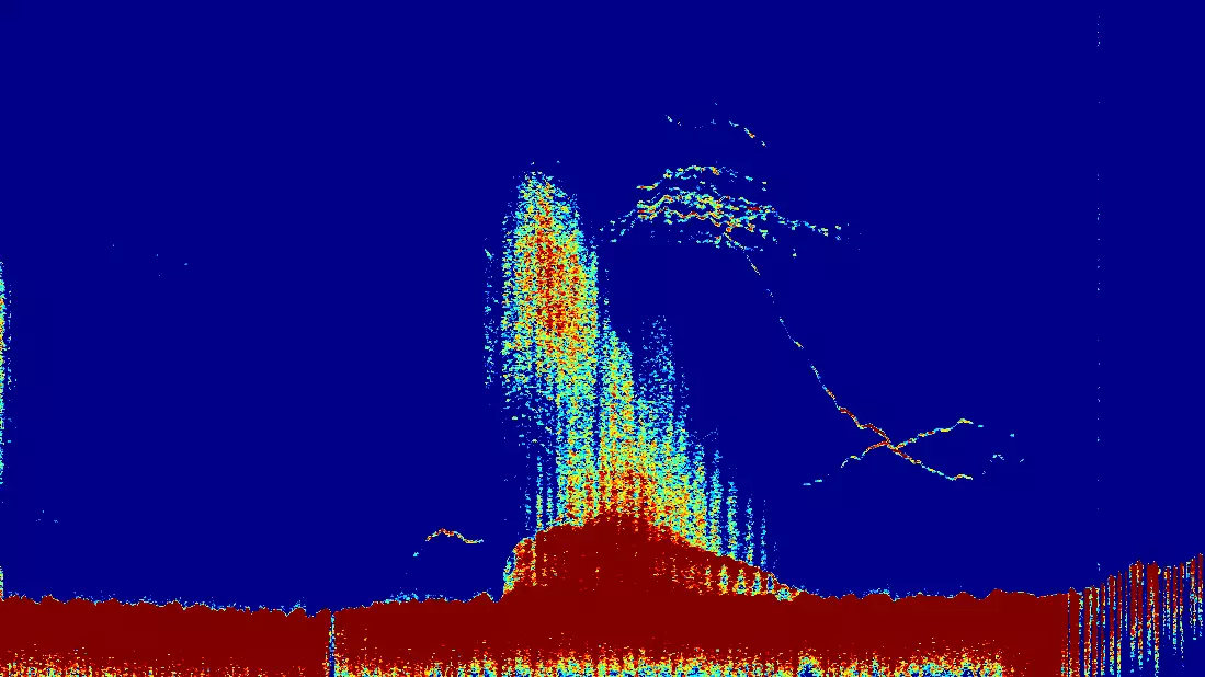 CP570 zoomet skærmbillede