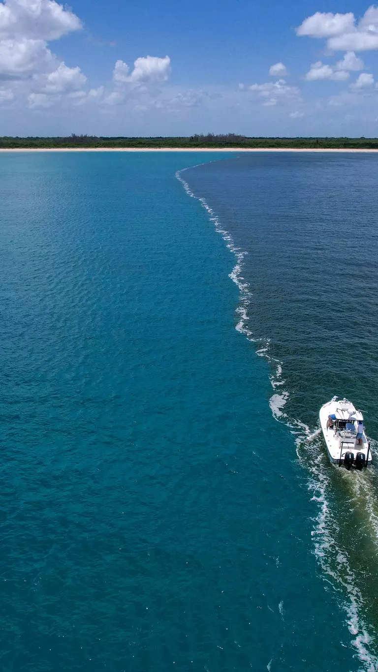 Using Side Scan Sonar to Find Fish Like a Pro