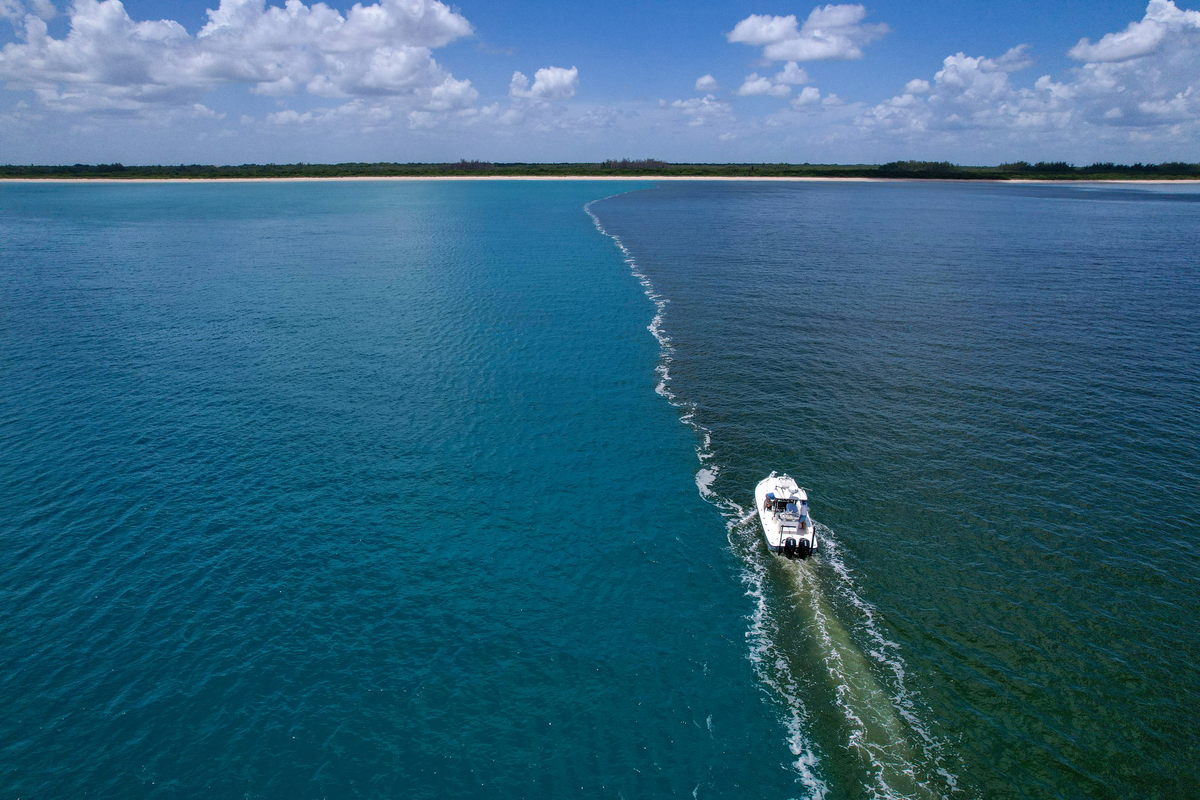 Using Side Scan Sonar to Find Fish Like a Pro | Raymarine AU