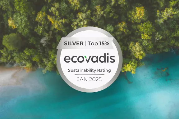 What is Ecovadis?