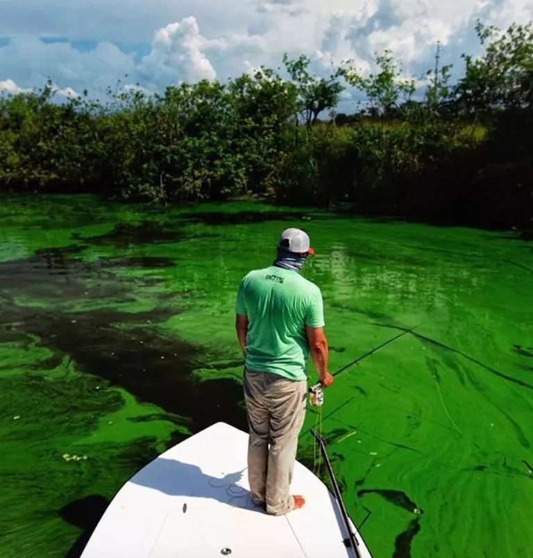 Everglades Restoration: Healing Our National Treasure