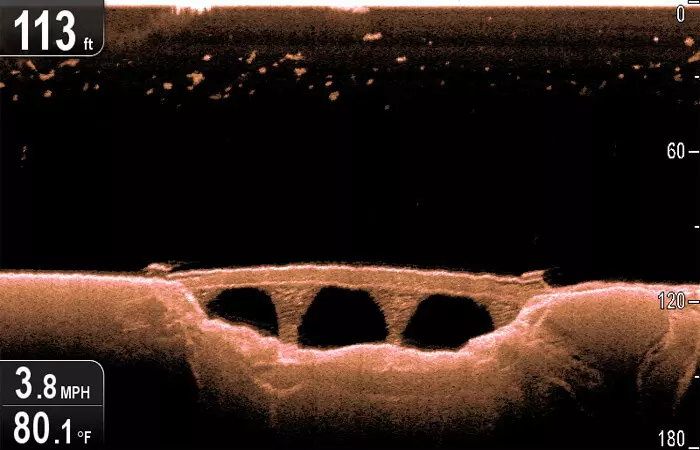 Dragonfly underwater sonar view