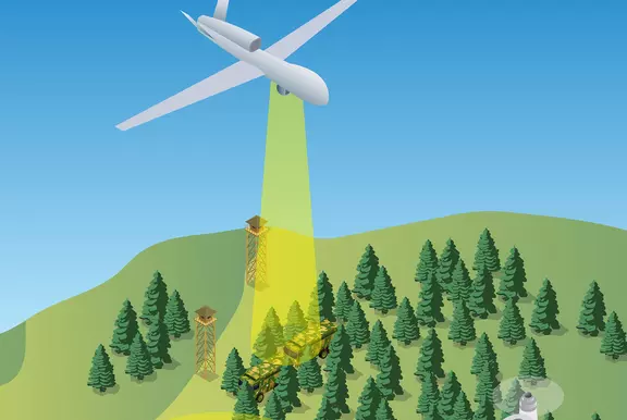Under Canopy Object Detection