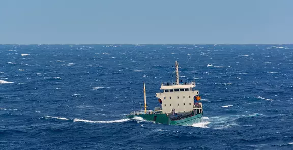 Ergonomic. Waterproof. Unshakable.