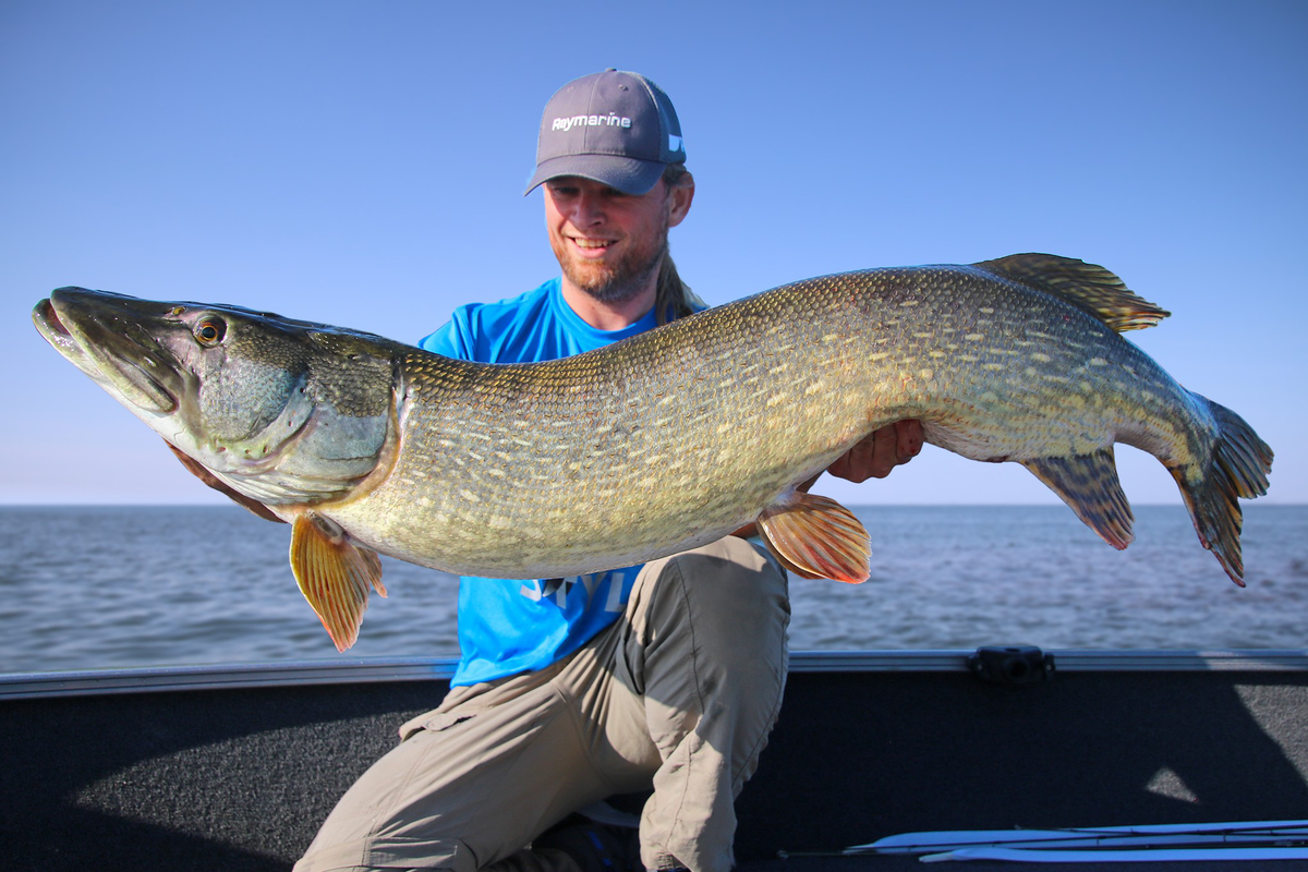 Op Jacht naar Snoek en Meerval: Magische Vismomenten op het Water, image size:1200x800