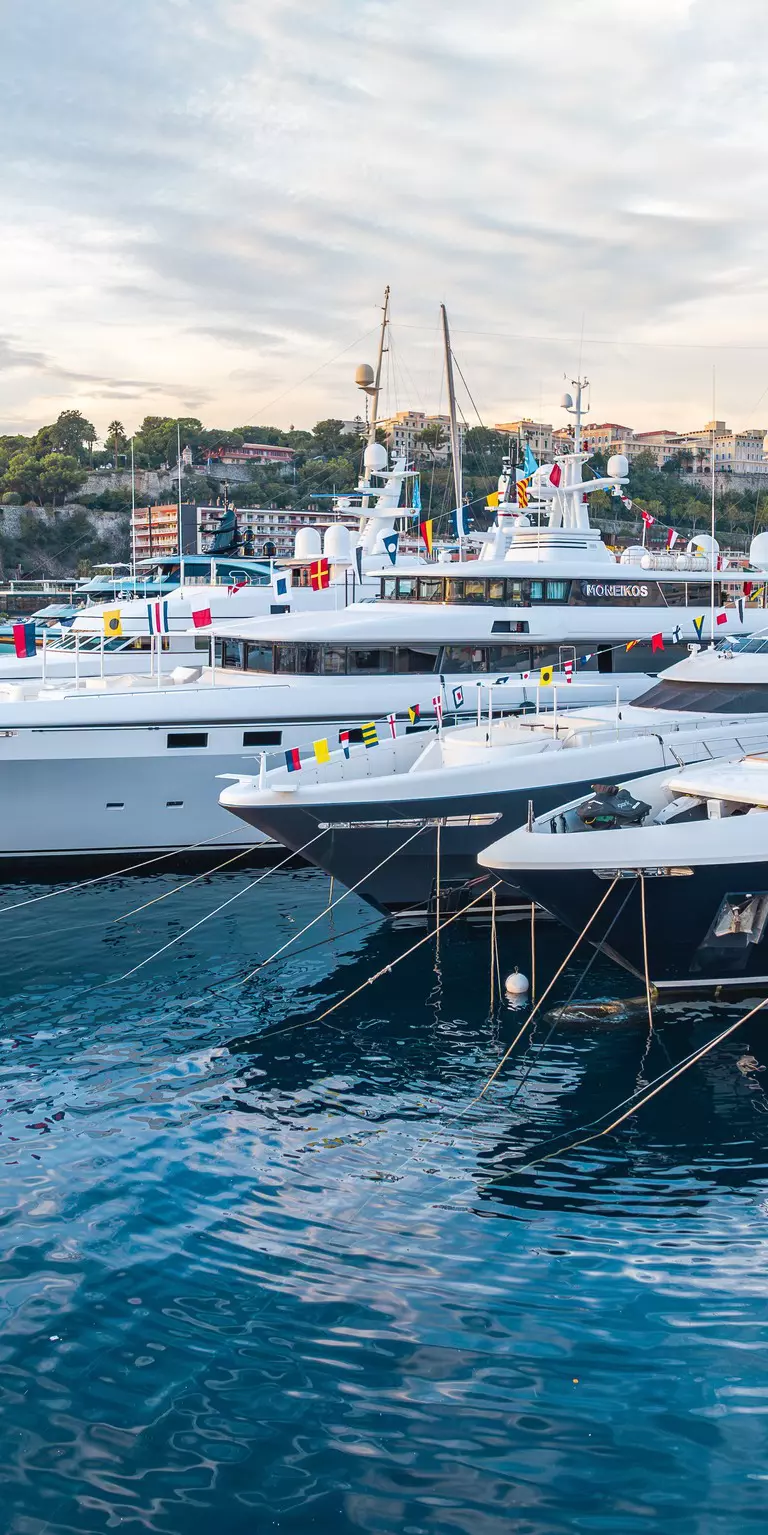 Monaco Yacht Show