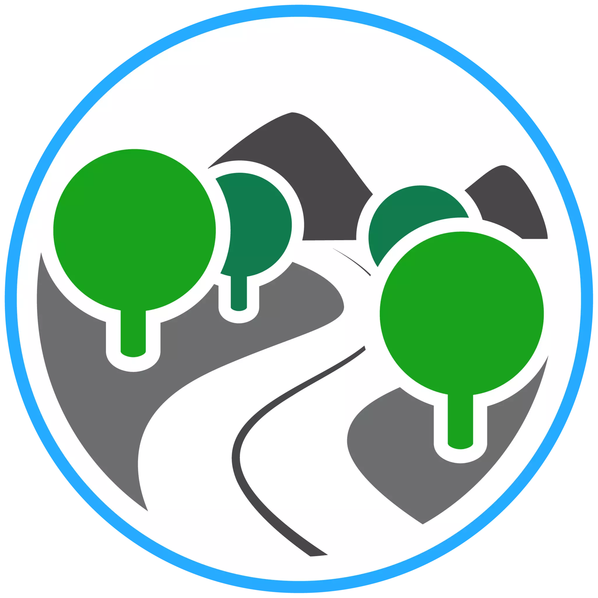 Surveyors icon