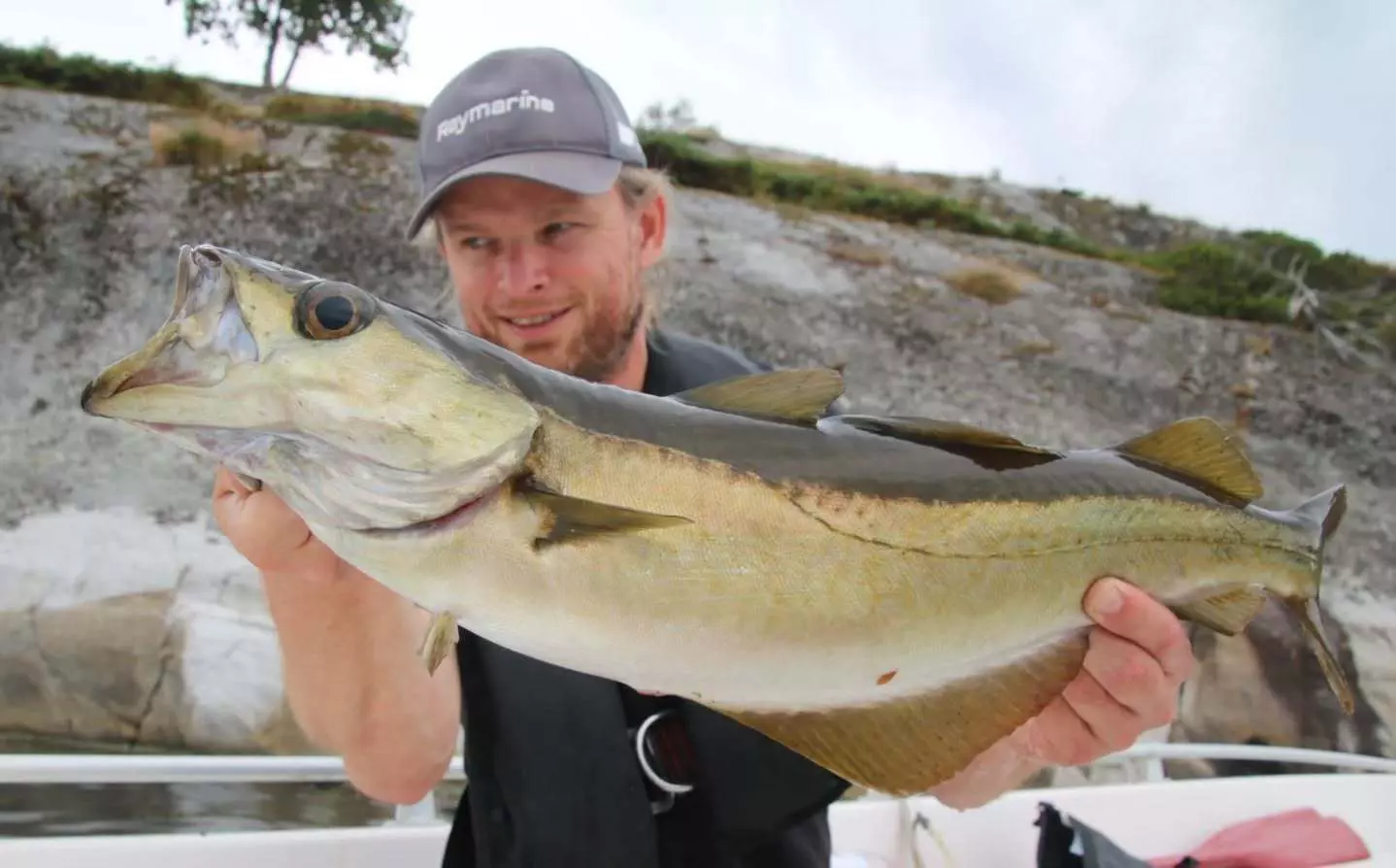 Volkmar Strikkers, pollock