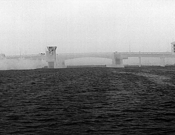 Thermal images captured from the FLIR Ocean Scout Pro
