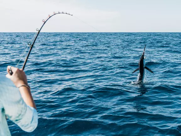 En envis fisks värsta fiende