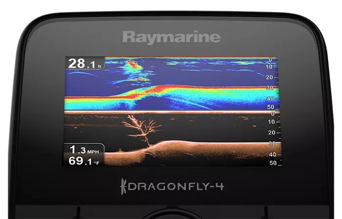 Dragonfly LCD display