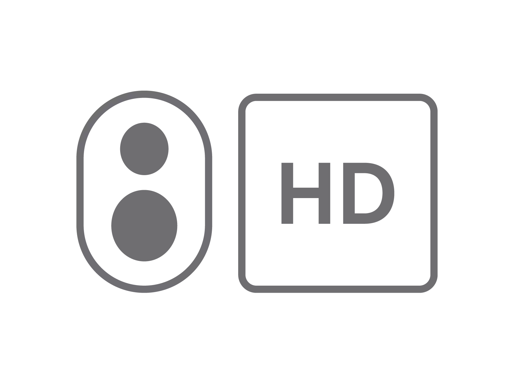 Dual payload icon