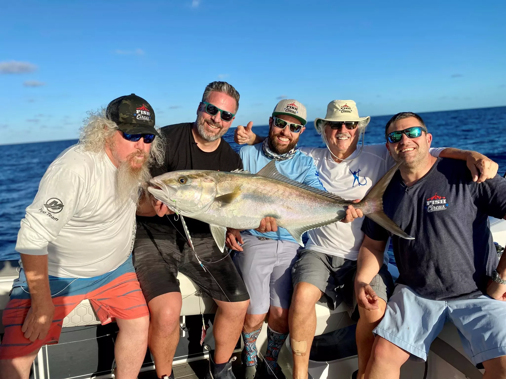 Fish Circus with an amberjack