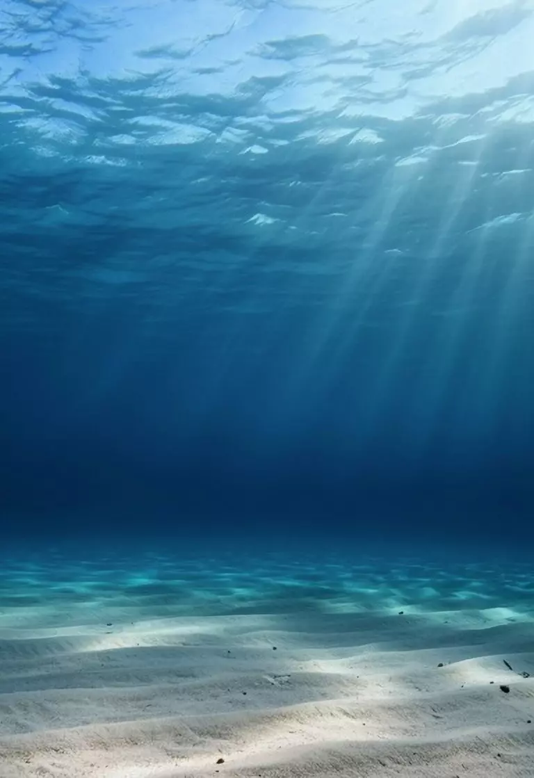 What's new in HIPS and SIPS 13