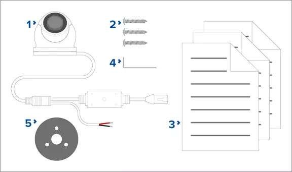 What's in the box illustration