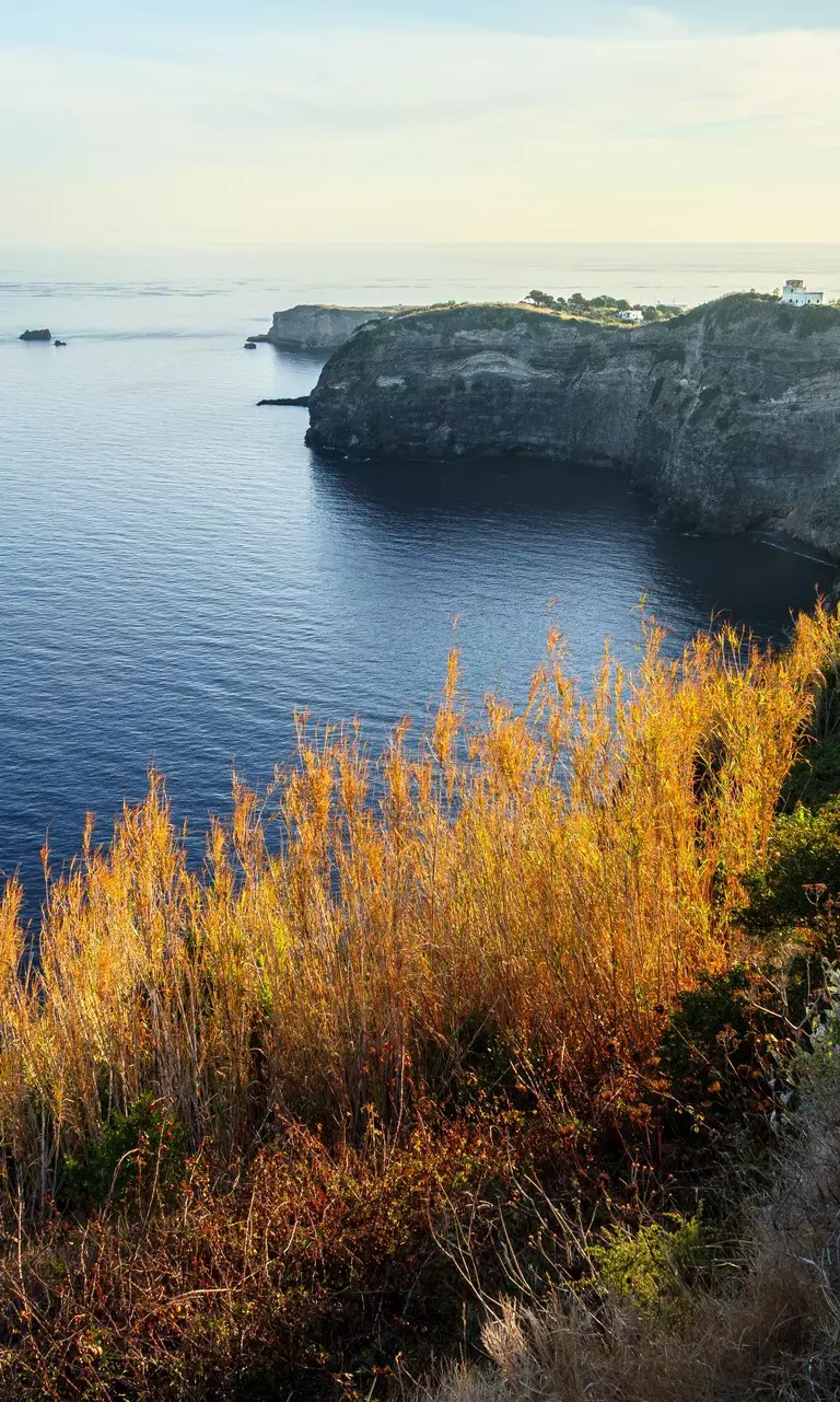 Ventotene Big Fish Tournament 2026: sport, passione e grandi emozioni in mare