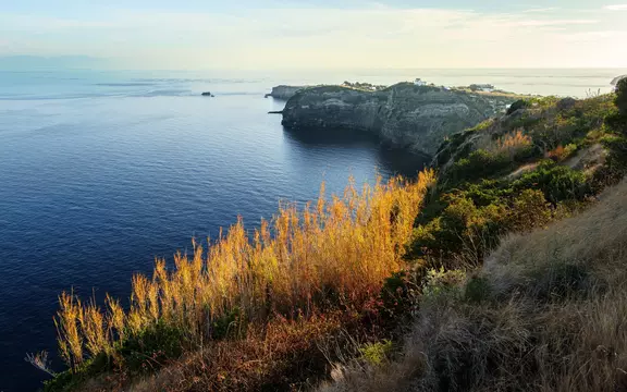 Ventotene Big Fish Tournament 2026: sport, passione e grandi emozioni in mare