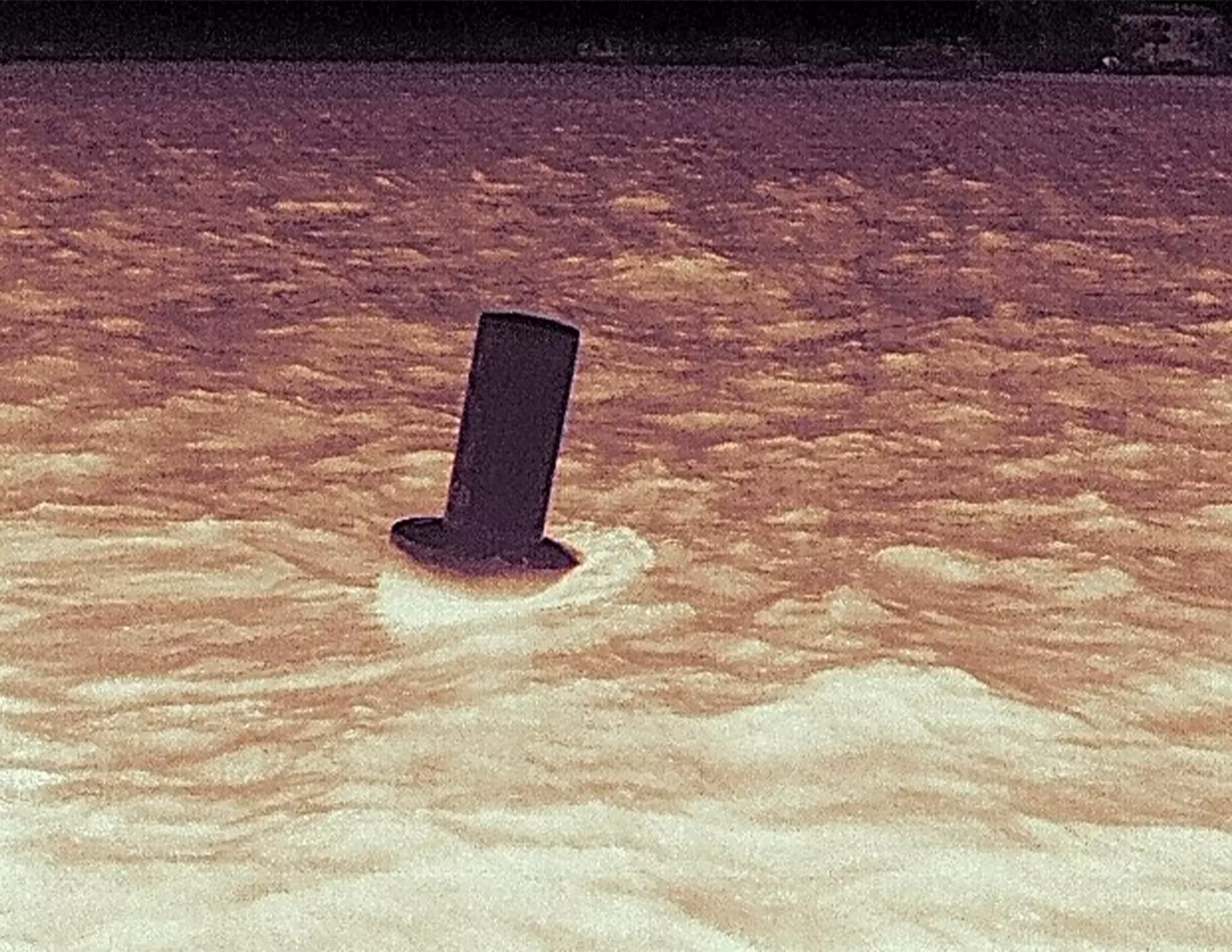 Ocean Scout Pro thermal image of a buoy