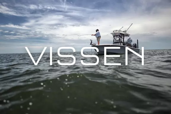 Vissen