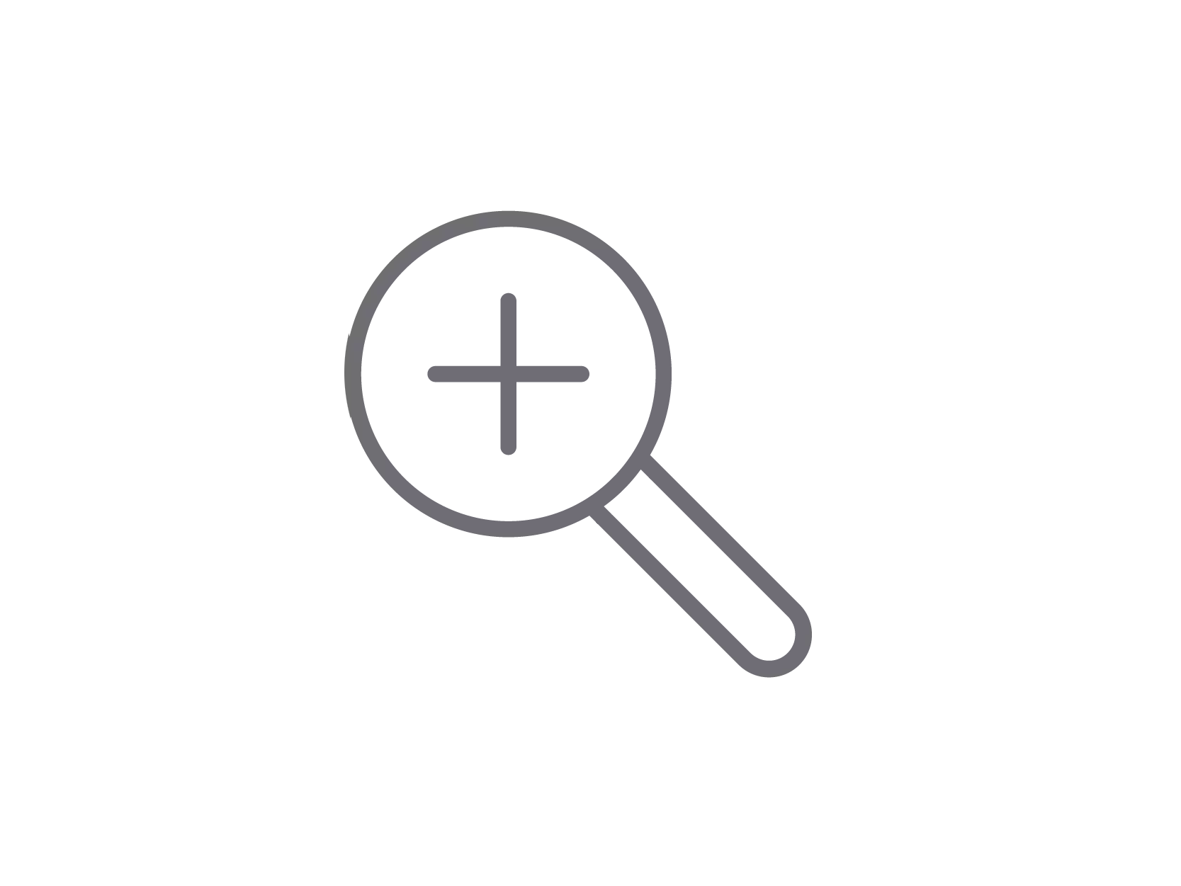 Zoom icon