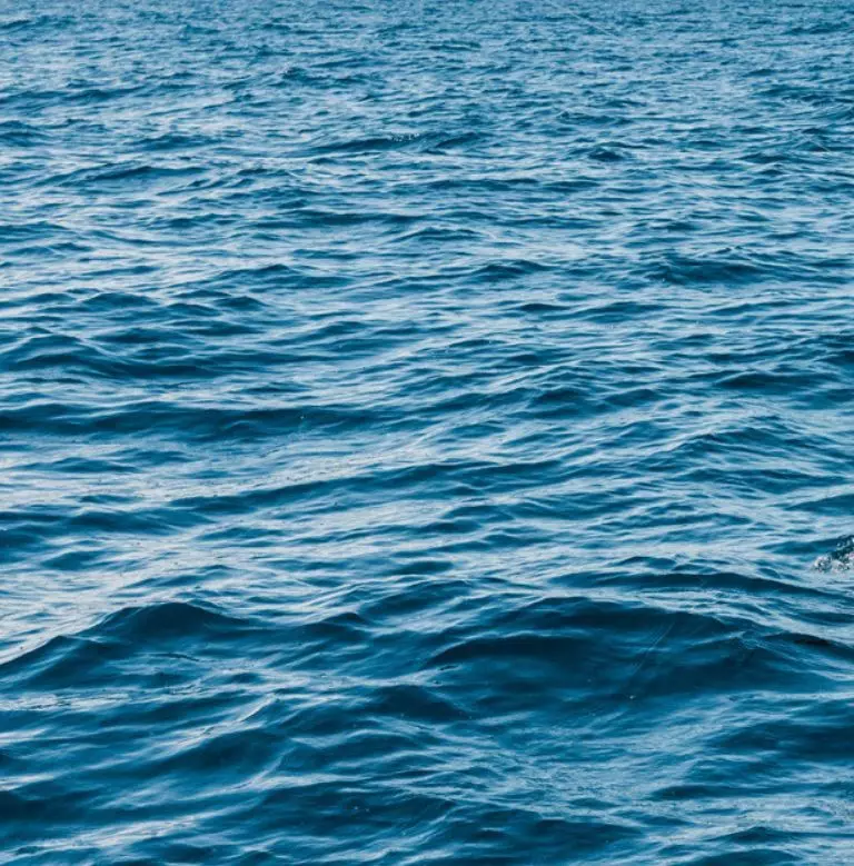Raymarine Launches 'Earn Your Strikes' Fishing Getaway Sweepstakes