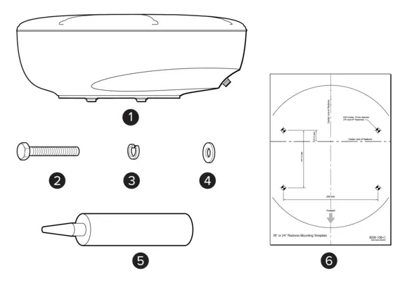 What's in the box illustration