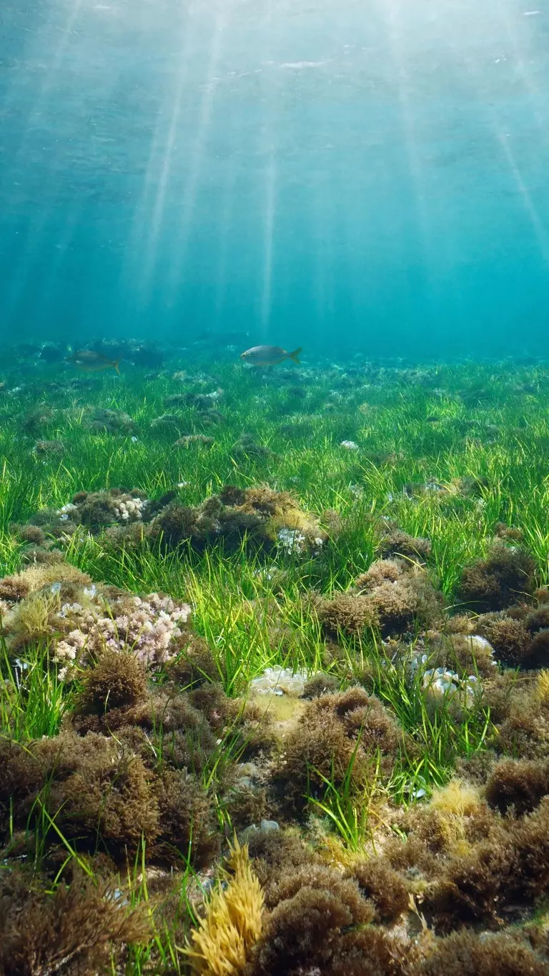 What's new in Bathy DataBASE