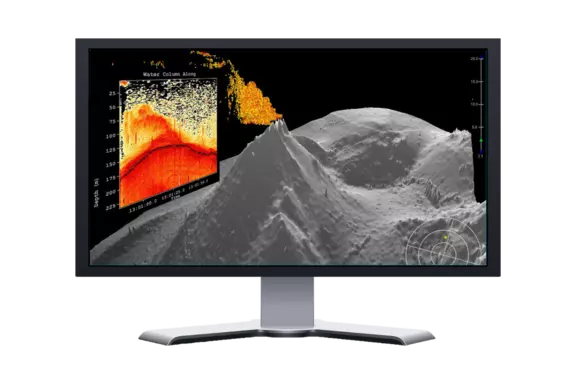 HIPS & SIPS Professional