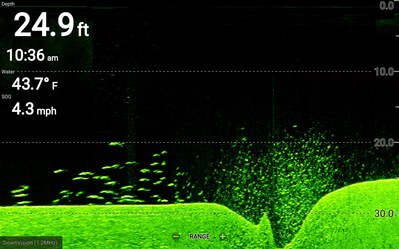 DownVision Sonar on an Element Chartplotter