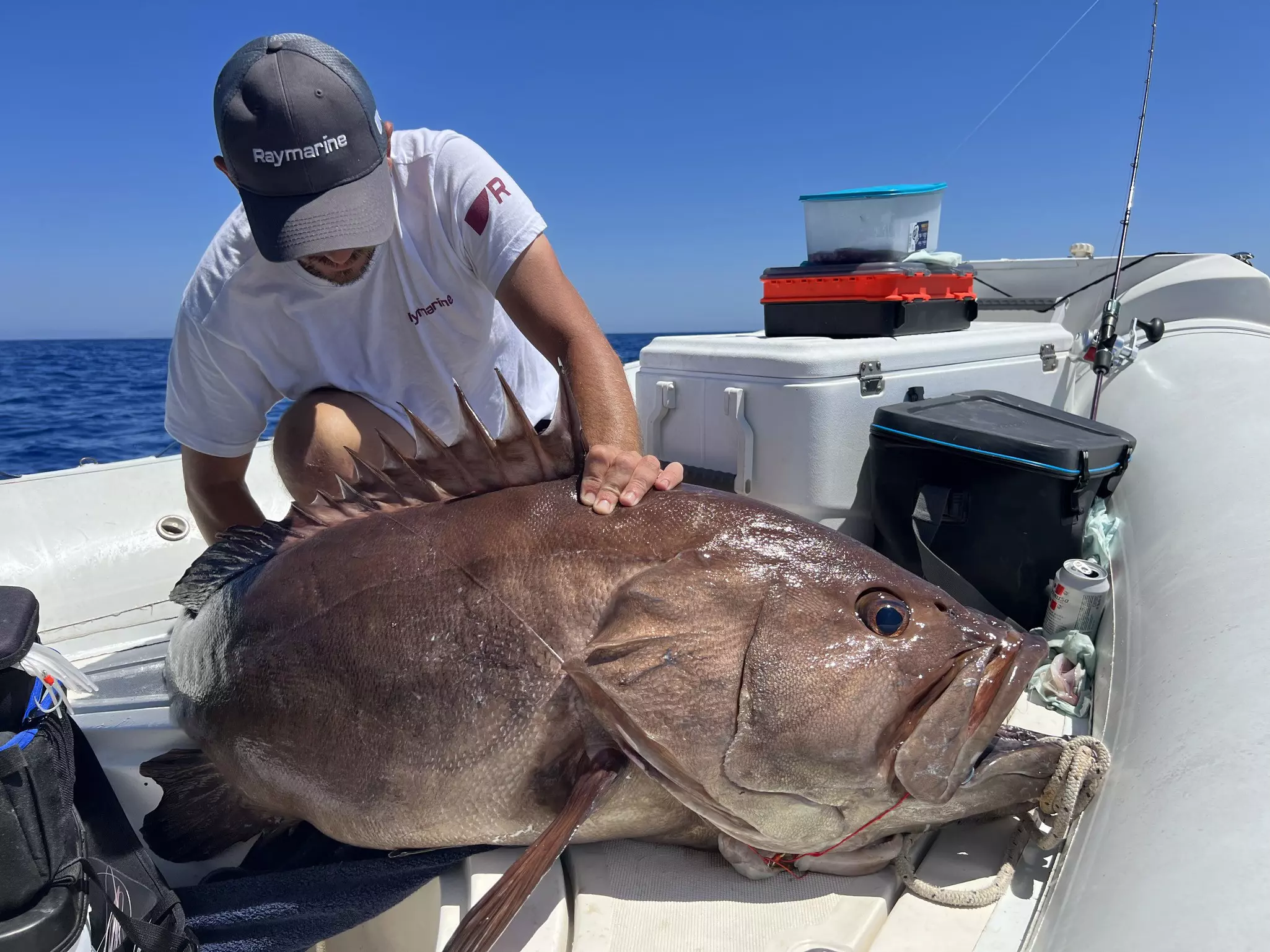 Bebo Fishing Alberto Melis pesca