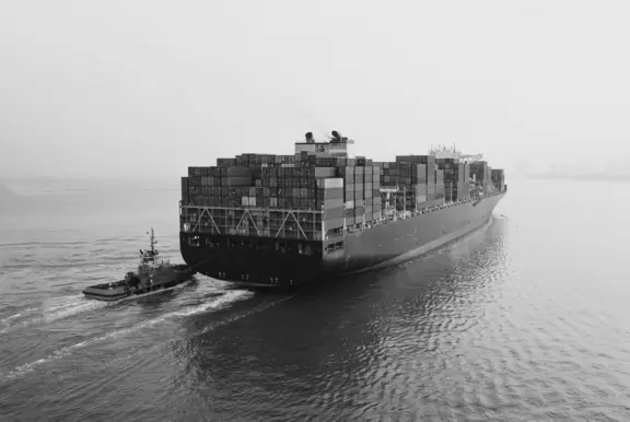 Teledyne Raymarine Commercial