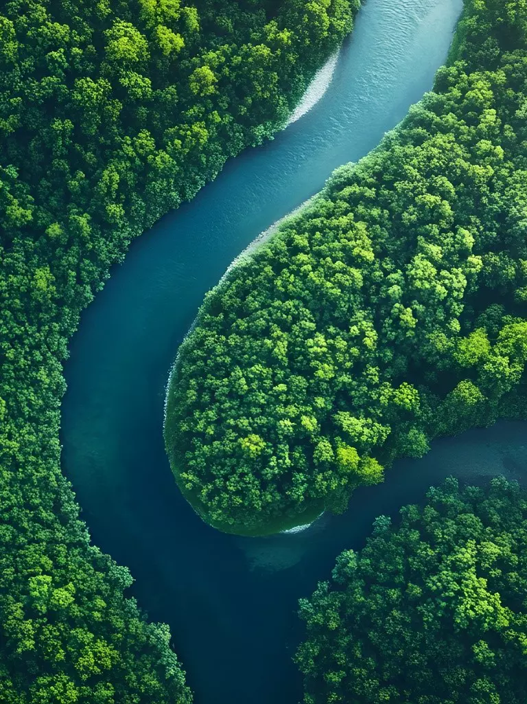 Request for Credit Account