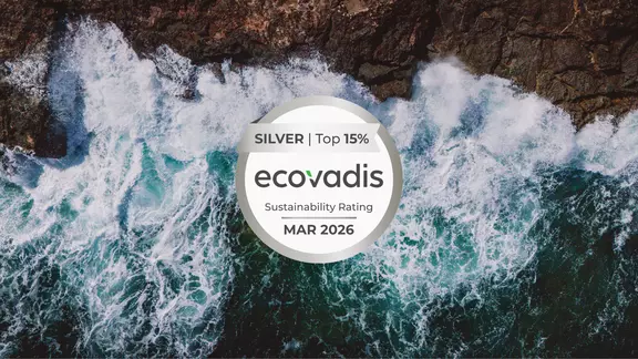 What is Ecovadis?