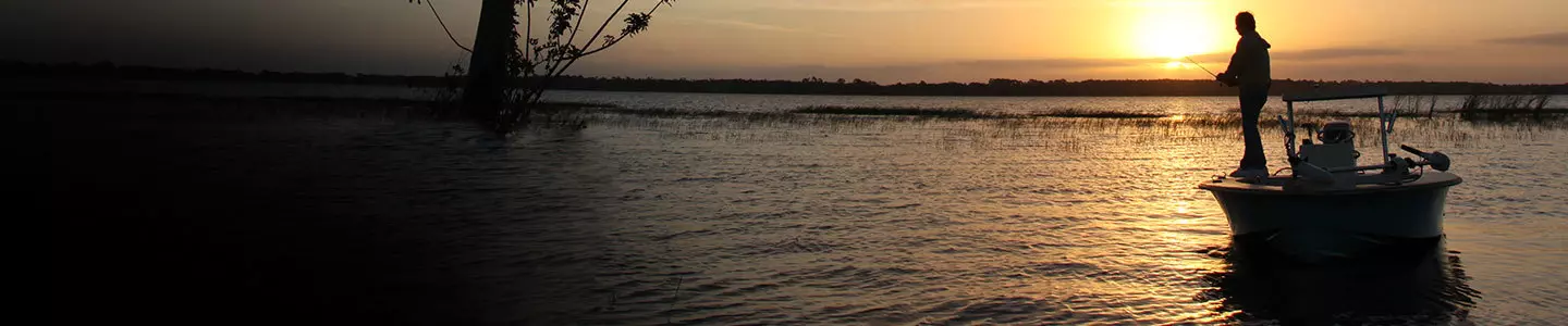 Fishing on the water with Dragonfly