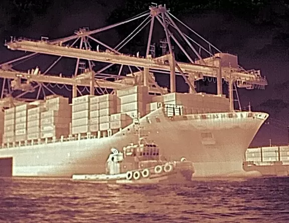 Still image capture from the FLIR Ocean Scout Pro thermal monocular.