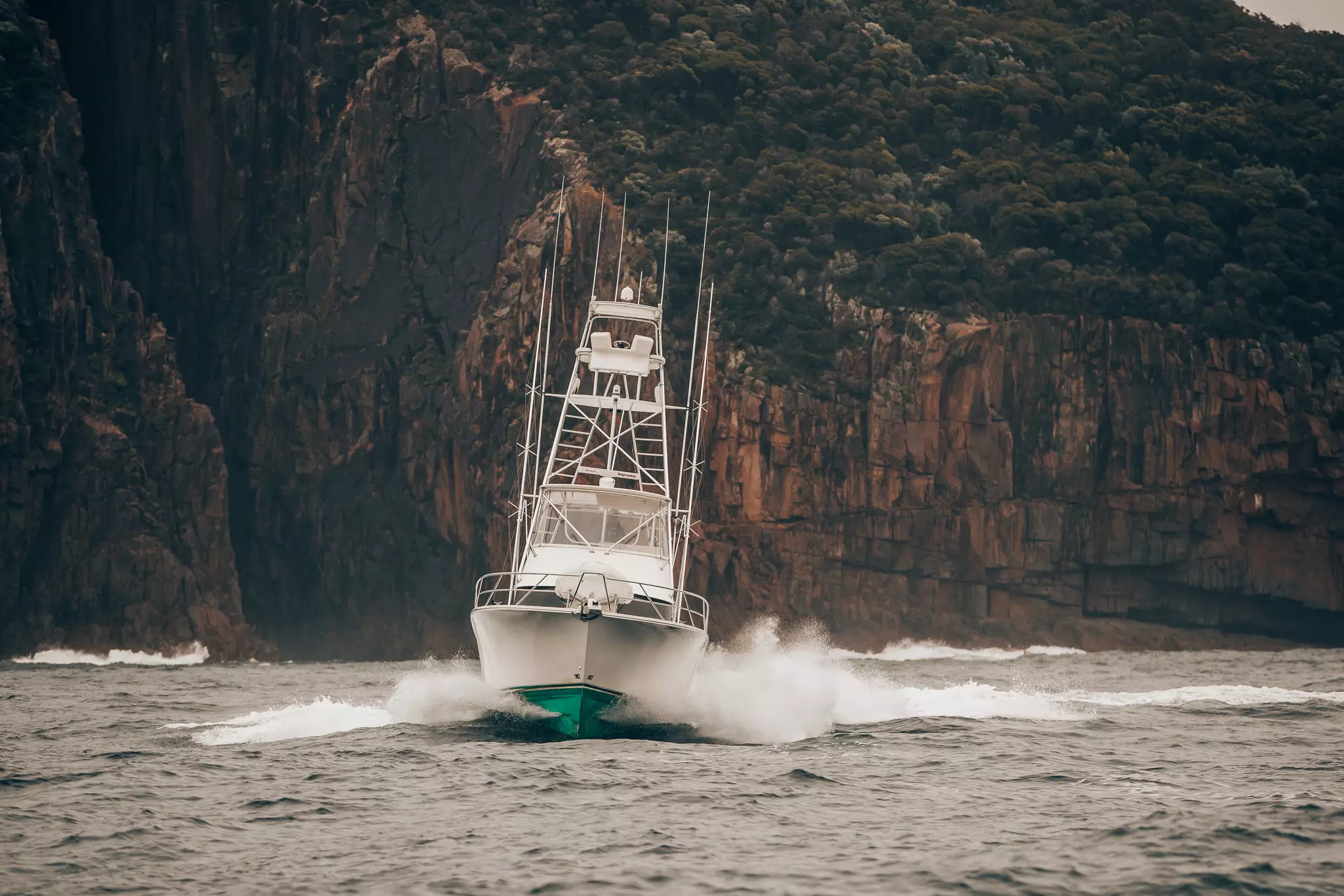 Calypso Fishing Adventures: Marlin Fishing Port Stephens, Giant Black  Marlin fishing Cairns