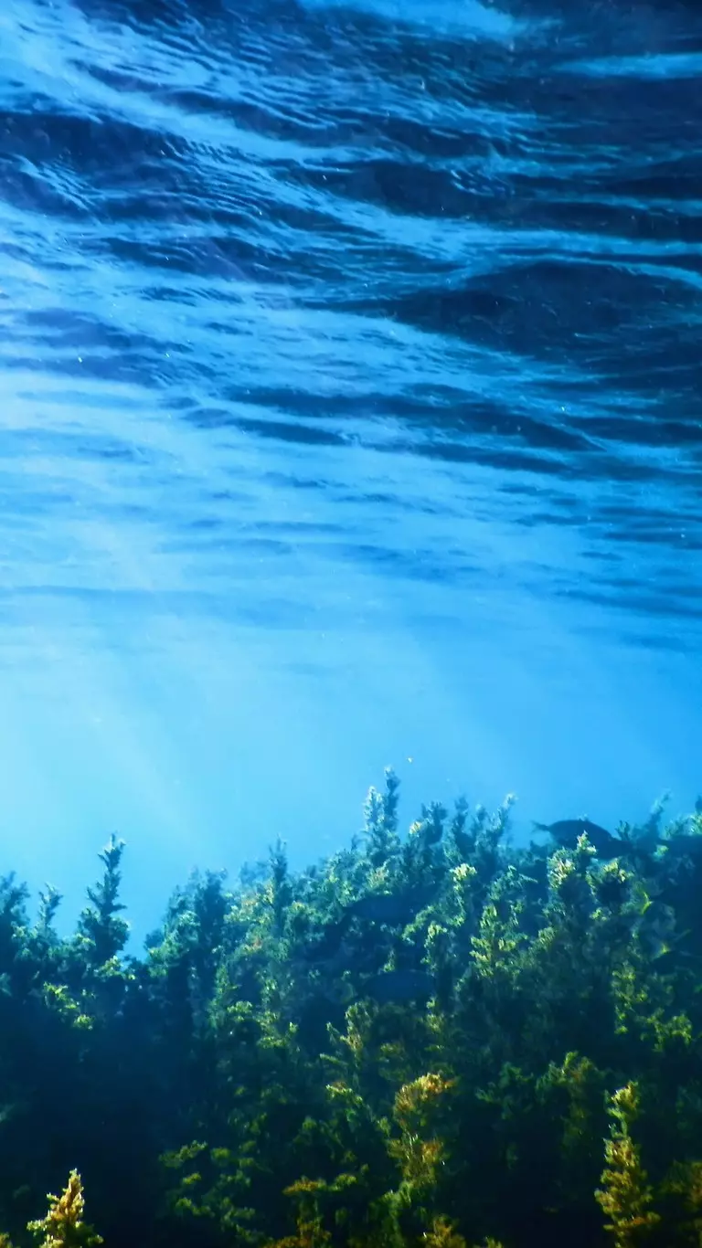 Raymarine Achieves ISO 14001:2015 Certification, Reinforcing Commitment to Environmental Stewardship