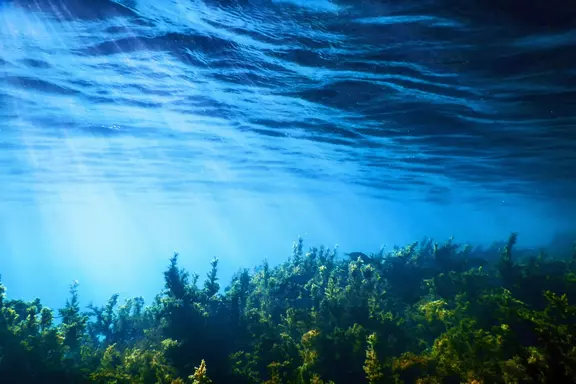 Raymarine Achieves ISO 14001:2015 Certification, Reinforcing Commitment to Environmental Stewardship