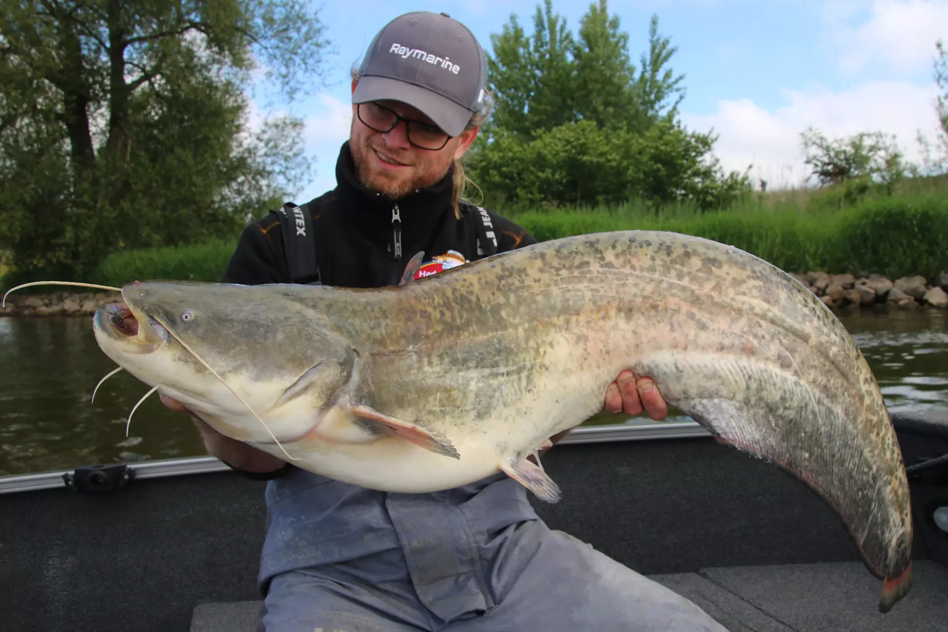 Volkmar Strikkers, catfish