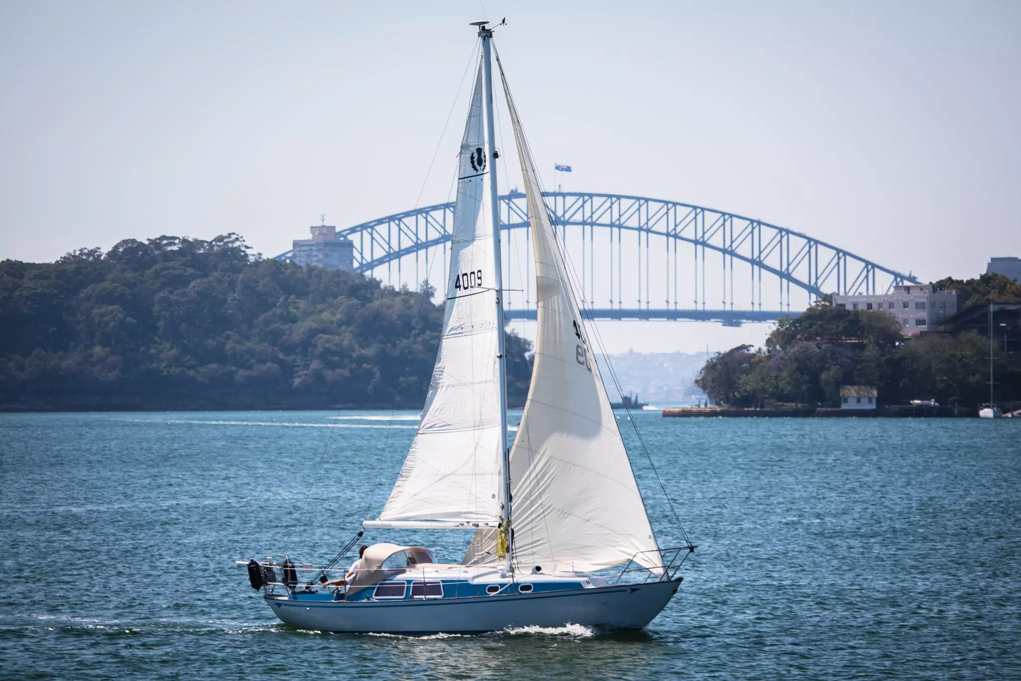 Wheel steered sail boat